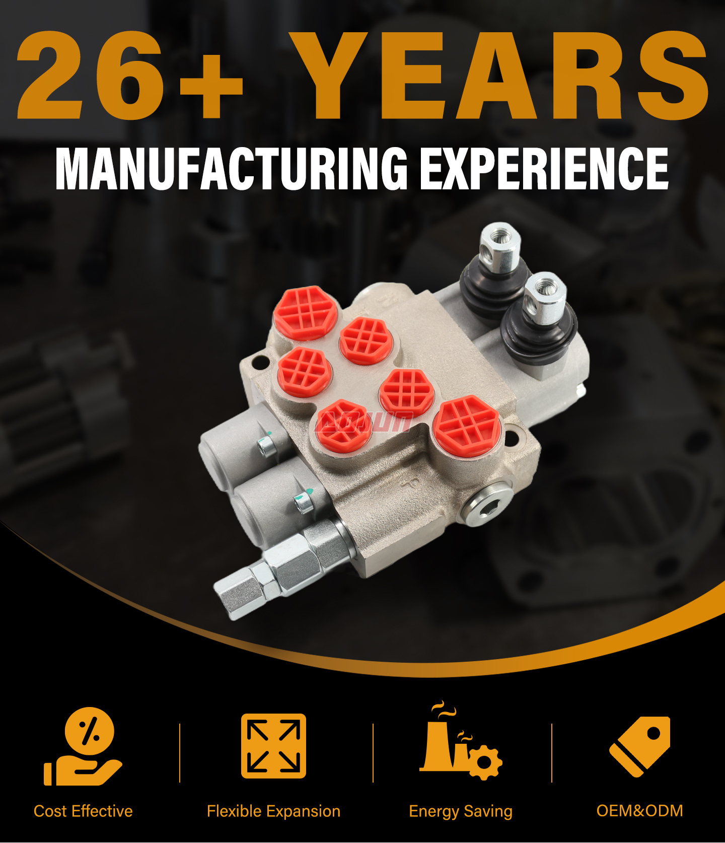 2 Spool Manual Monoblock Directional Valve P40-XNHJ detailed image