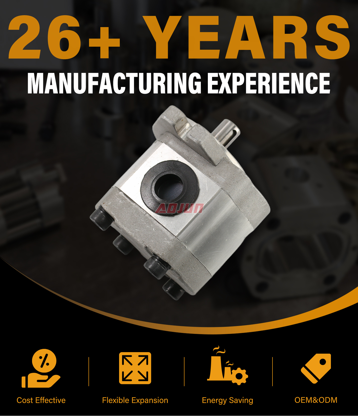 20 MPa (2900 psi) 6 cc/rev Hydraulic Gear Pump CBHS-FL-306 detailed image