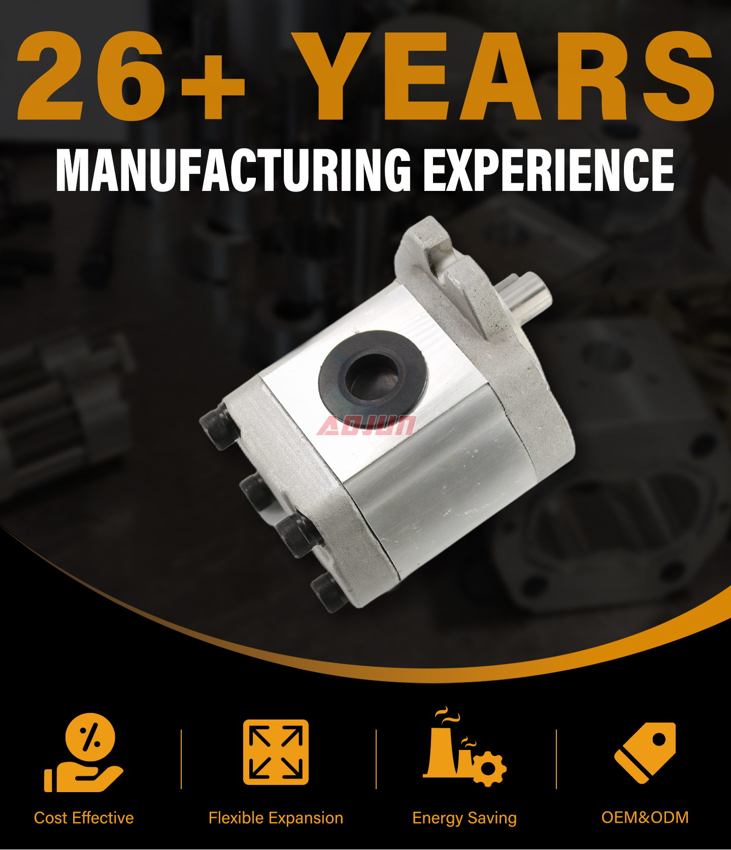 20 MPa (2900 psi) 16 cc/rev Hydraulic Gear Pump CBHS-FL-316 detailed image