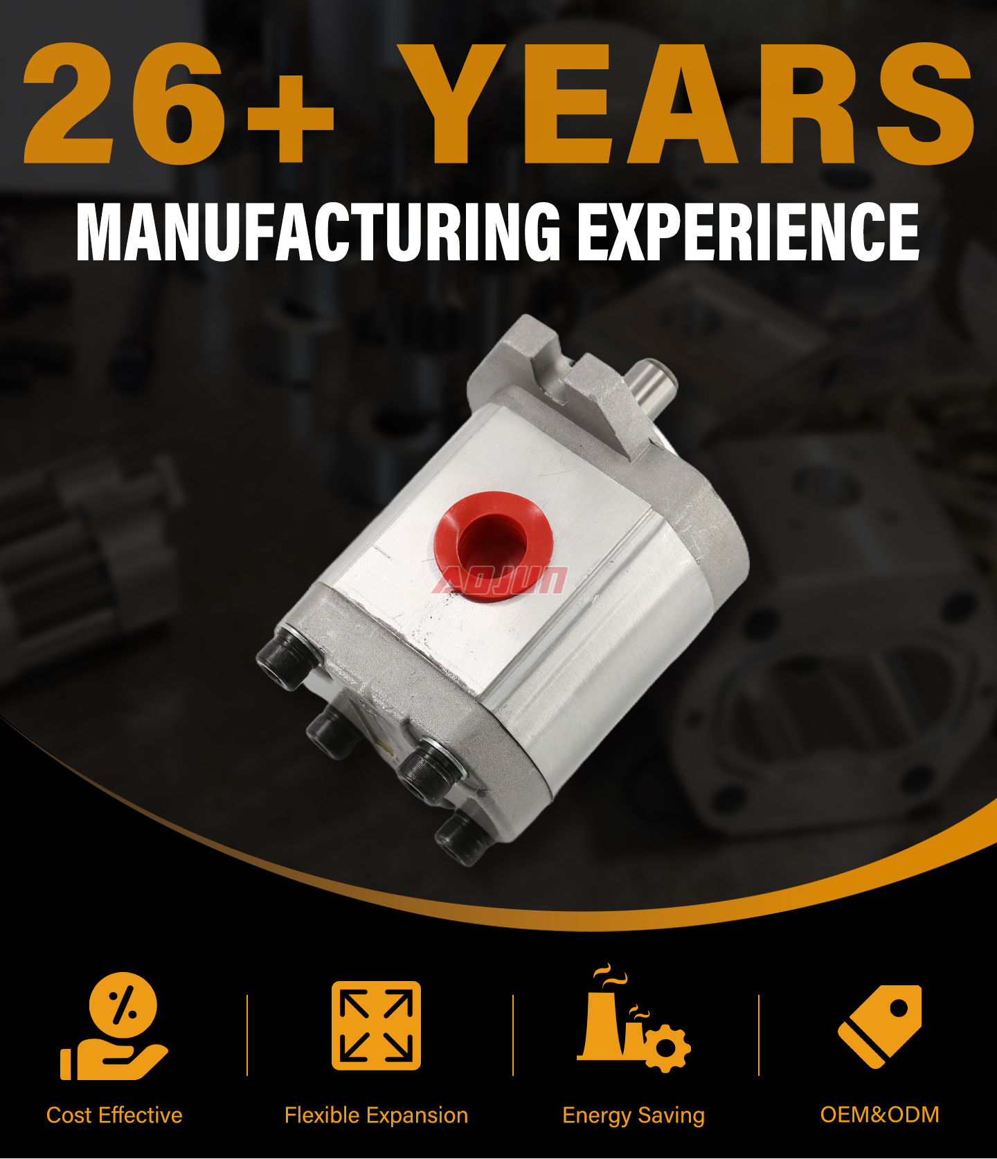 20 MPa (2900 psi) 4 cc/rev Hydraulic Gear Pump CBHS-FL304 detailed image